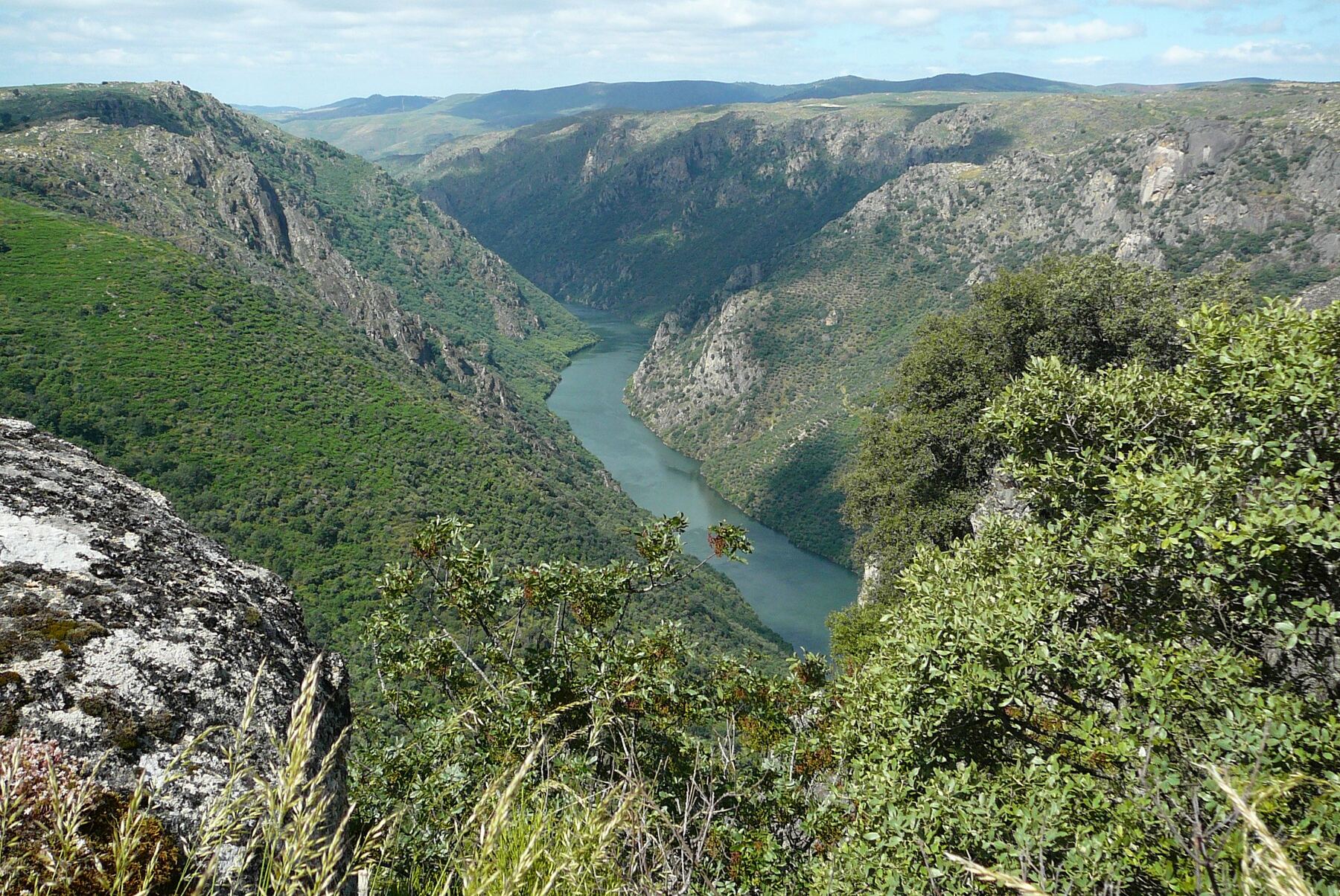 Cañón del Duero rodeado de olivos, encinas y vegetación mediterránea — Parque Natural Arribes del Duero, Fermoselle (Zamora), Castilla y León, origen del AOVE ecológico premium Pago los Bichos